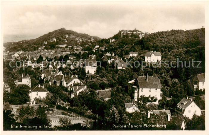 Blankenburg Harz Panorama vom Eichenberg
