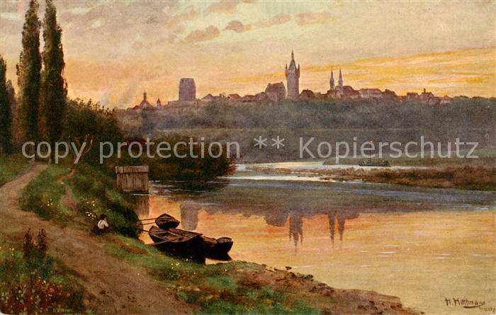 Wimpfen Bad Panorama