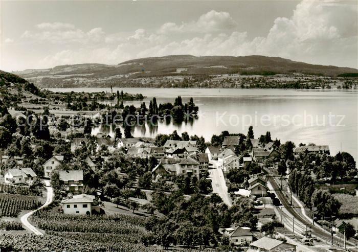 Mannenbach Untersee Panorama mit Berlingen