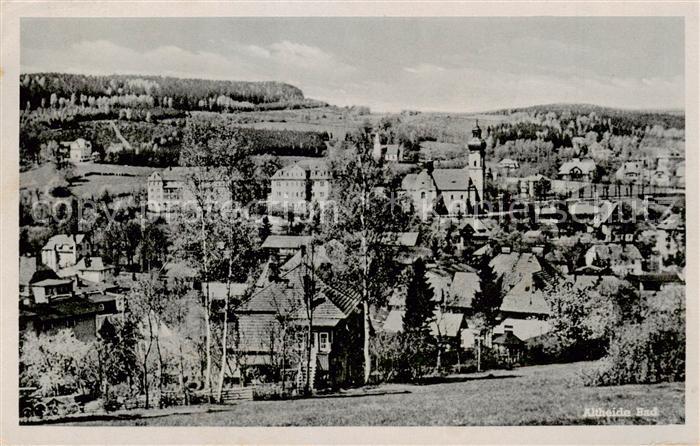 Altheide Bad Schlesien PL Panorama