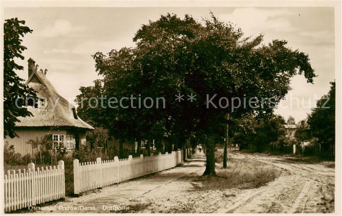 Prerow Ostseebad Dorfpartie