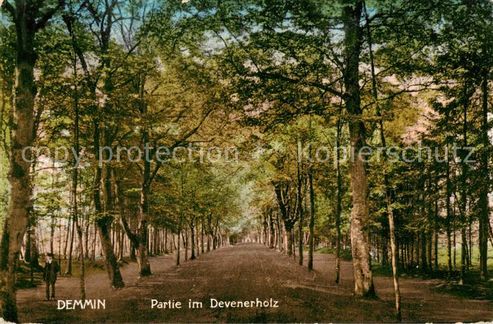 Demmin Mecklenburg Vorpommern Partie im Devenerholz