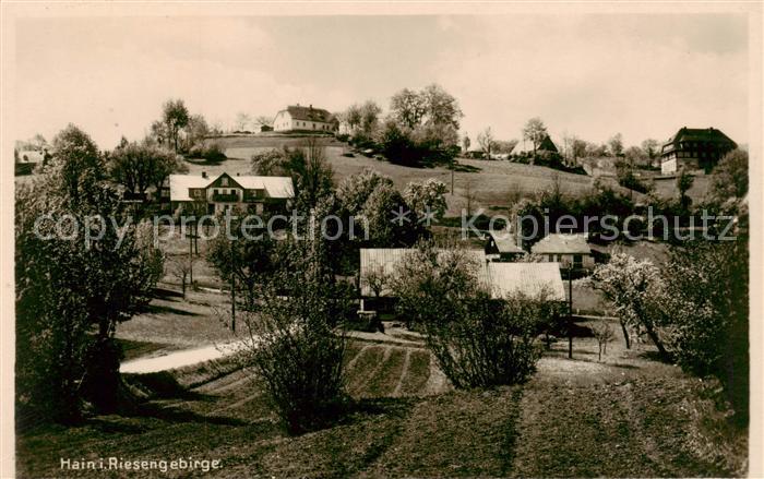 Hain  Giersdorf Riesengebirge Podgorzy PL Teilansicht