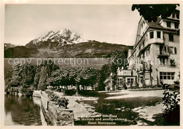 Hertenstein Vierwaldstaettersee Hotel Hertenstein