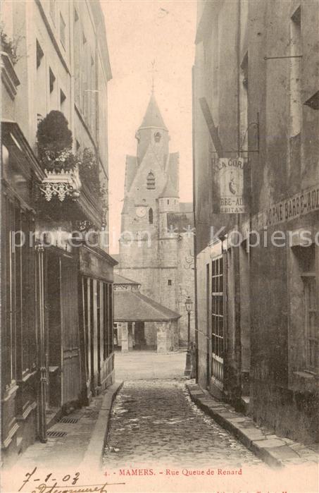 Mamers 72 Sarthe Que Queue de Renard