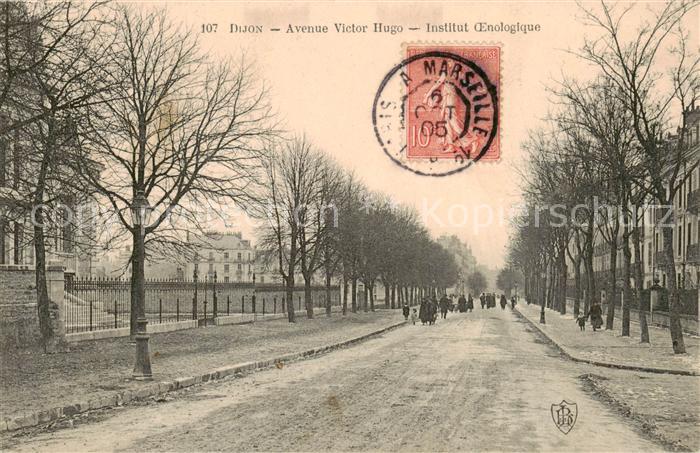 Dijon 21 Cote-d Or Avenue Victor Hugo Institut Oenologique