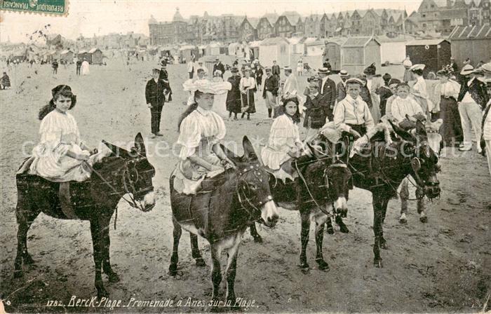 Berck-Plage 62 Promenade a Anes sur la Plage