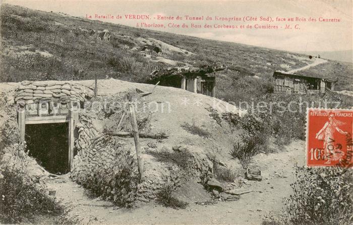 Verdun  55 Meuse Entree du Tunnel du Kronprinz face au Bois des Caurette a l’hor