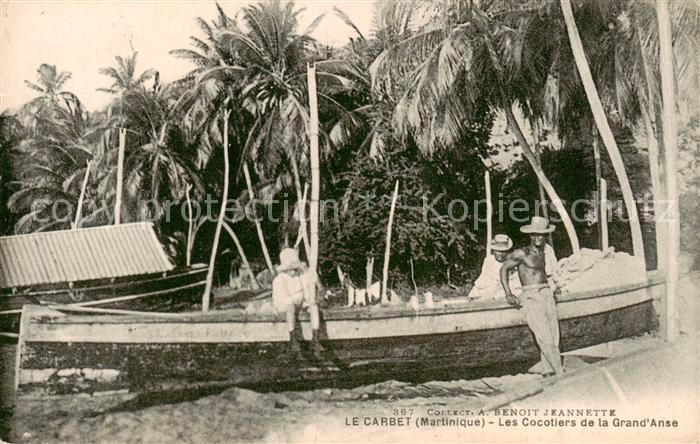 Le Carbet Martinique Les Cocotiers de la Grand Anse