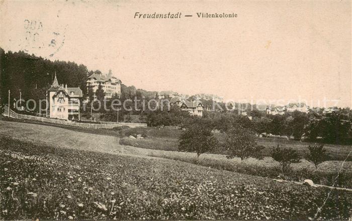 FREUDENSTADT BW Videnkolonie