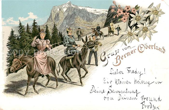Wandern Berner Oberland Eseln Frauen