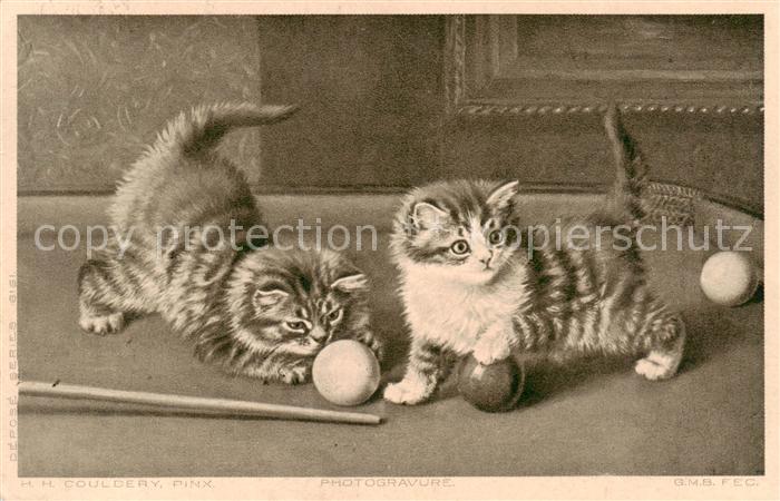 Katzen H.H.Couldery Pinx
