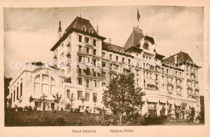 Mont Pelerin VD Palace Hotel