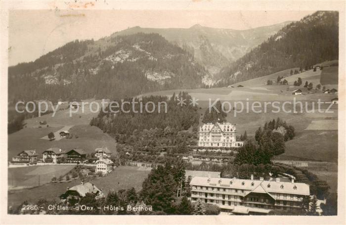 Chateau-d Oex Hotels Berthod