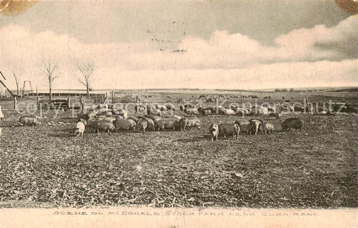 Cuba Kansas USA Scene on Mc Donald Stock Farm