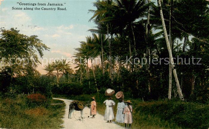 Jamaica  Caribic Scene along the Country Road