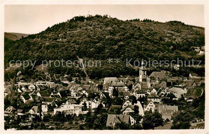 Nagold Panorama