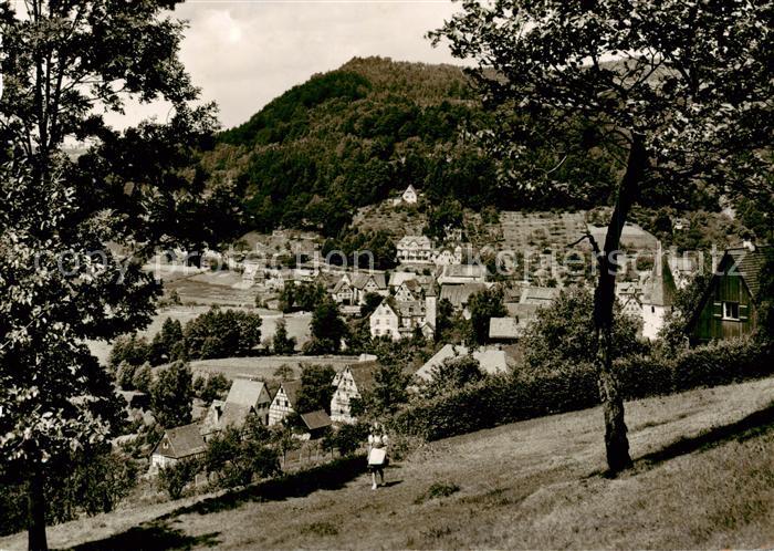 Eschenbach Mittelfranken Panorama