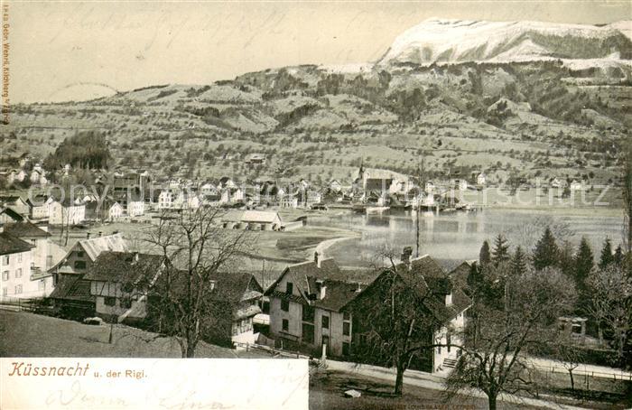 Kuessnacht Vierwaldstaettersee Panorama