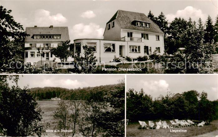 Malente-Gremsmuehlen Pension Dieckseeblick Liegewiese Diecksee Holsteinische Sch