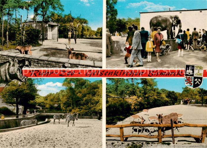 GELSENKIRCHEN NRW Ruhr Zoo Gelsenkirchen Bismarck Teilansichten