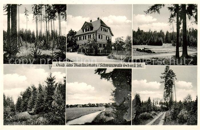 Martinsmoos Neubulach BW Pension Kuebler Waldpartien