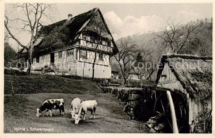 Achern Baden Schwarzwald Muehle