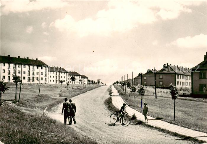 Studenka Stauding CZ Siedlung Strassenpartie