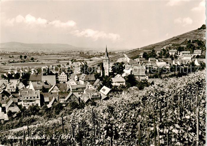 Grunbach Remshalden Panorama