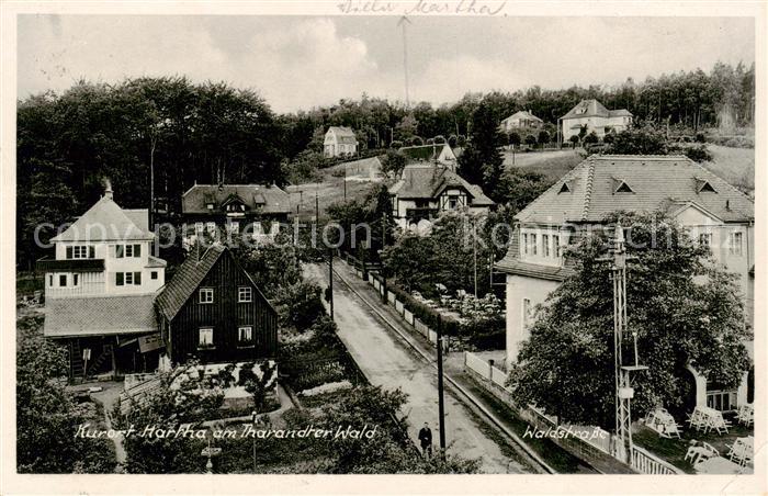 Hartha Tharandt Teilansicht am Tharandter Wald