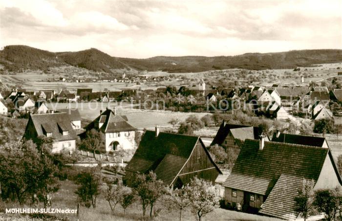 Muehlheim Sulz Neckar Panorama