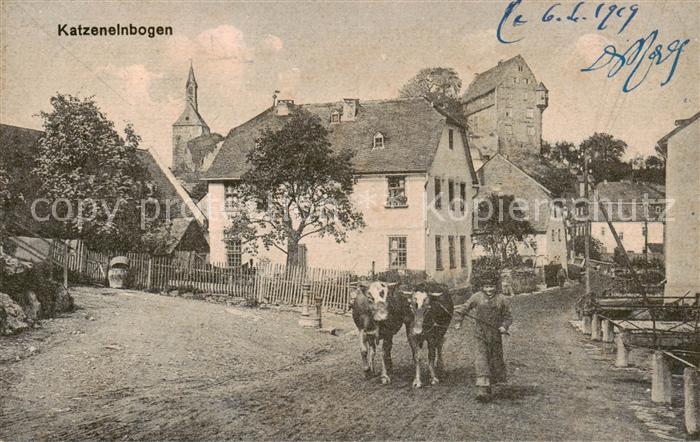 Katzenelnbogen Teilansicht Kuehe