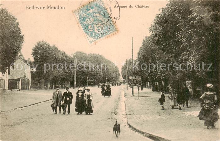 Bellevue-Meudon 92 Hauts-de-Seine Avenue du Chateau