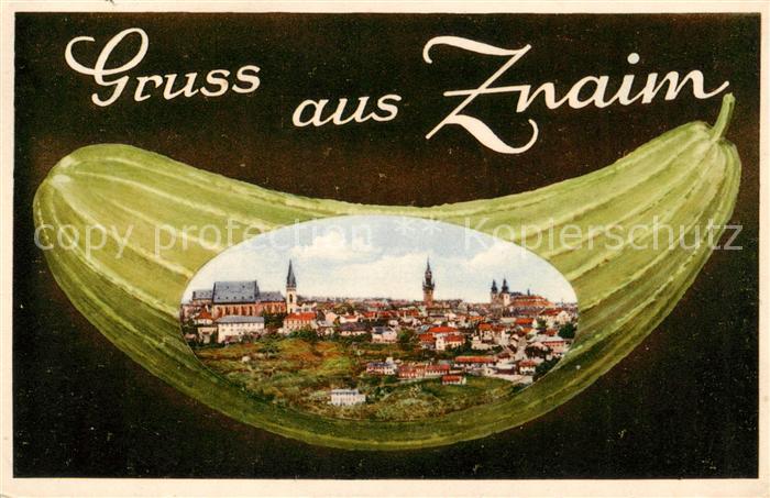 Znaim Znojmo CZ Panorama Gurke Kuenstlerkarte