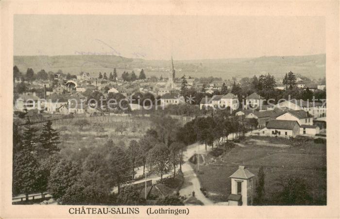 Chateau-Salins 57 Moselle Vue panoramique