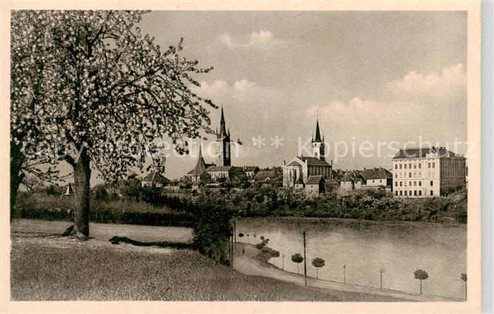 Tschaslau Caslav CZ Ansicht mit Kirche Baumbluete