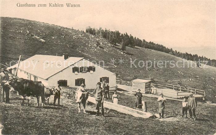 Kahler Wasen 68 Haut-Rhin Bauernhof mit Vieh und Brunnen Feldpost