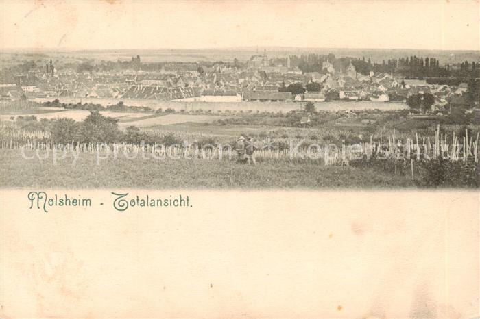 Molsheim 67 Bas-Rhin Panorama