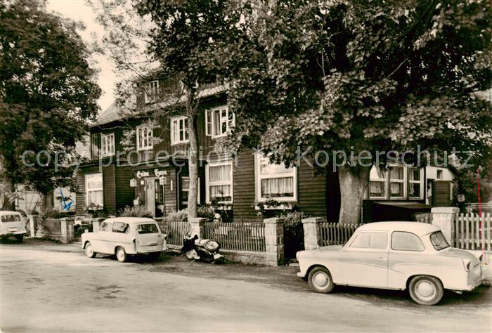 Mandelholz Harz Gruene Tanne