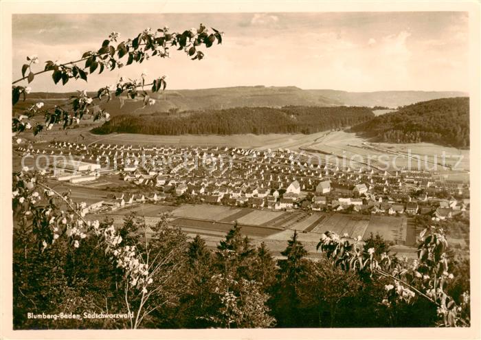 Blumberg  Baden Panorama