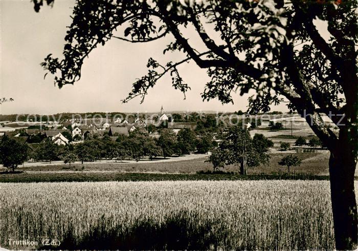 Truttikon ZH Panorama