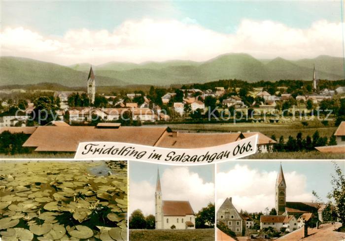 Fridolfing Panorama Seerosenteich Kirchen