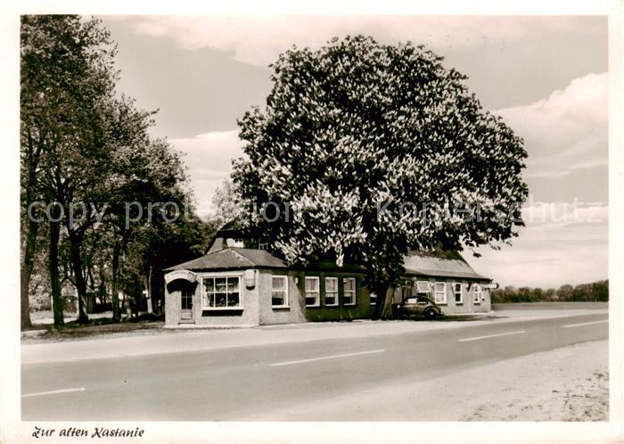 Hahnenklee-Bockswiese Harz Gaststaette Zur alten Kastanie