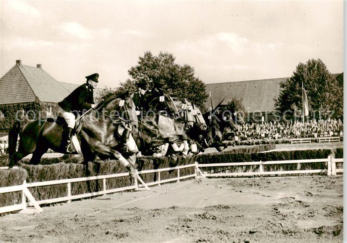 Warendorf Nordrhein-Westfaelisches Landgestuet Warendorfer Hengstparade Springqu