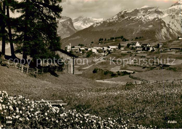 Flims Waldhaus Panorama Feldis