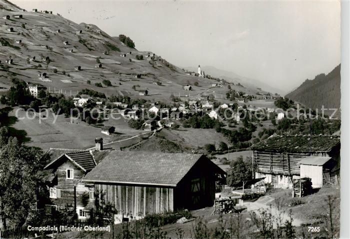 Compadials Disentis GR Panorama Feldpost