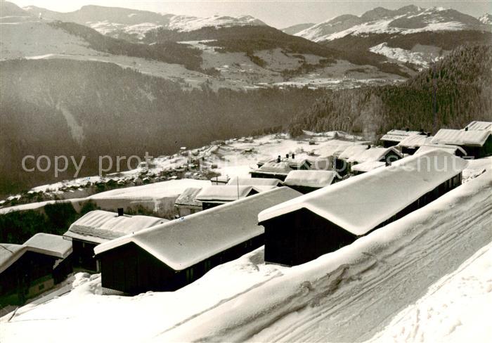 Andiast Andest GR Ferienhaus Arber Felix montana