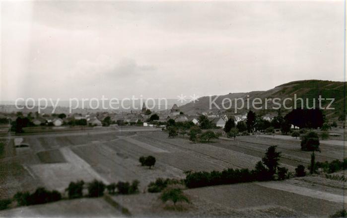 Roxheim Bad Kreuznach Panorama