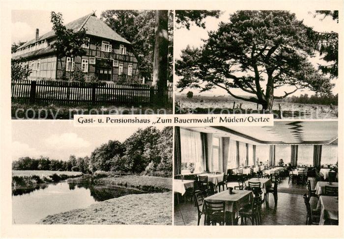 Mueden oertze Gast und Pensionshaus Zum Bauernwald Weiher Gastraum