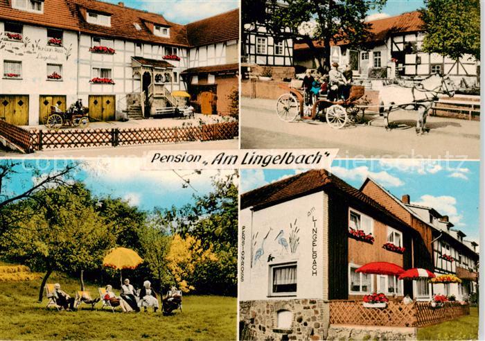 Rengshausen Knuellwald Pension Am Lingelbach Pferdekutsche Garten